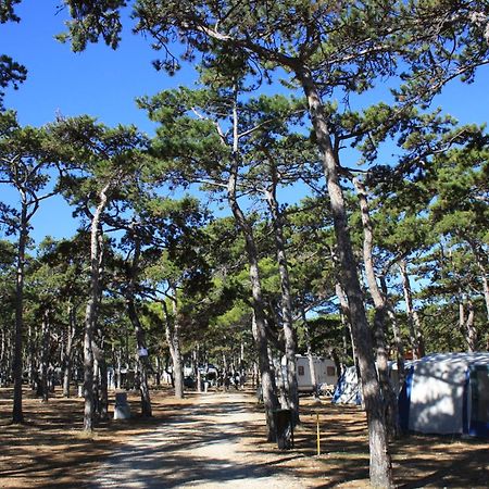 Camping Planik Hotell Ražanac Eksteriør bilde