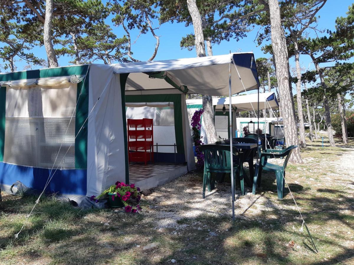 Camping Planik Hotell Ražanac Eksteriør bilde