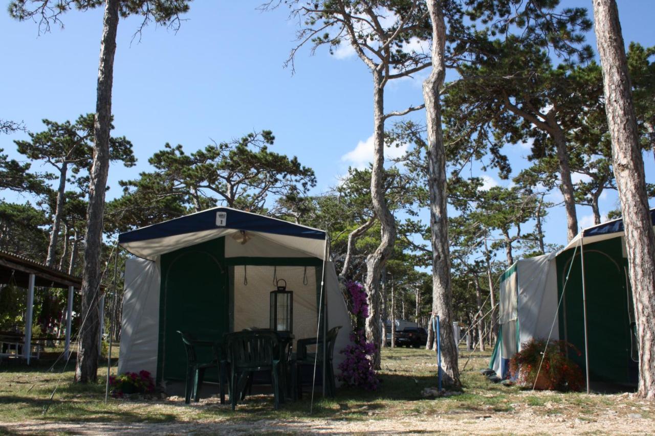 Camping Planik Hotell Ražanac Eksteriør bilde